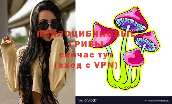 каннабис Коряжма