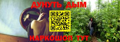 СК Дубна