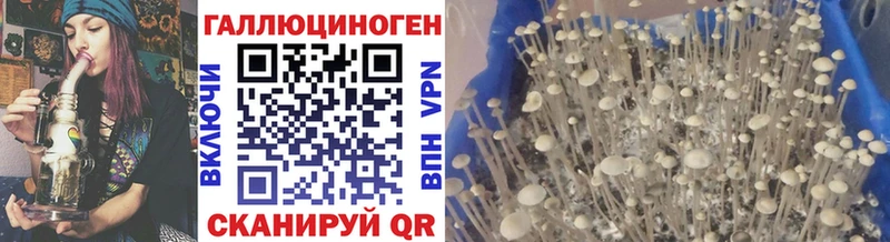 Галлюциногенные грибы Psilocybine cubensis  кракен как зайти  Коркино 