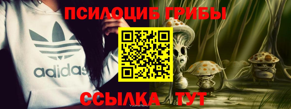 Псилоцибиновые грибы прущие грибы Коркино