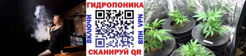Бошки марихуана индика  как найти закладки  Коркино 